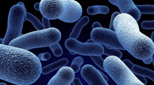 legionella control northern ireland